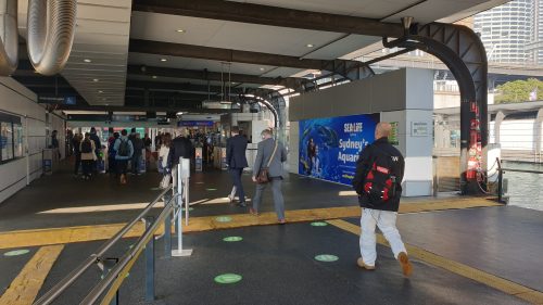 SydneyFerries_MerlinSeaLife_WharfWall