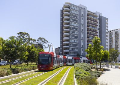 TorchMedia_Parramatta Light Rail_02